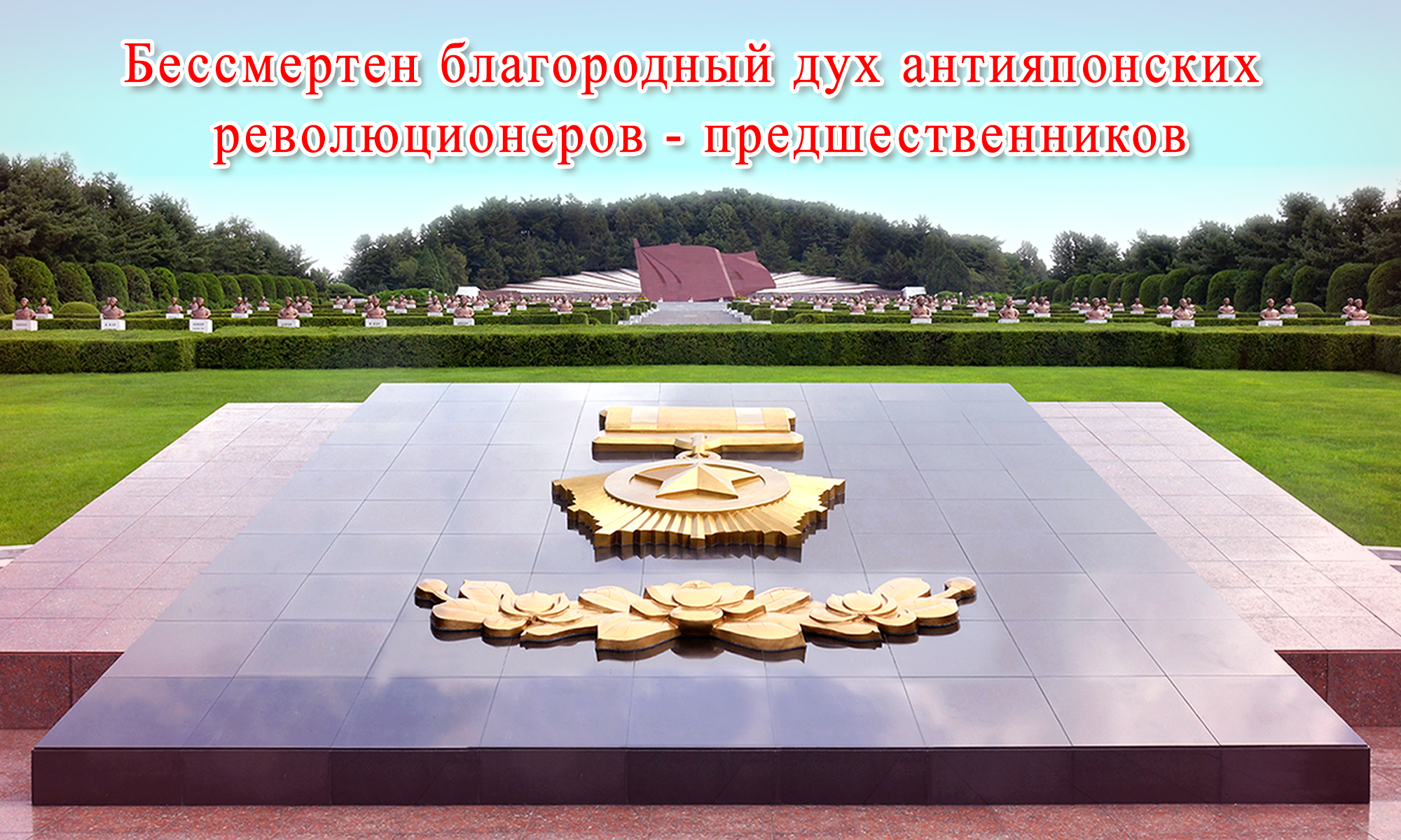 Обзорные фотографии
