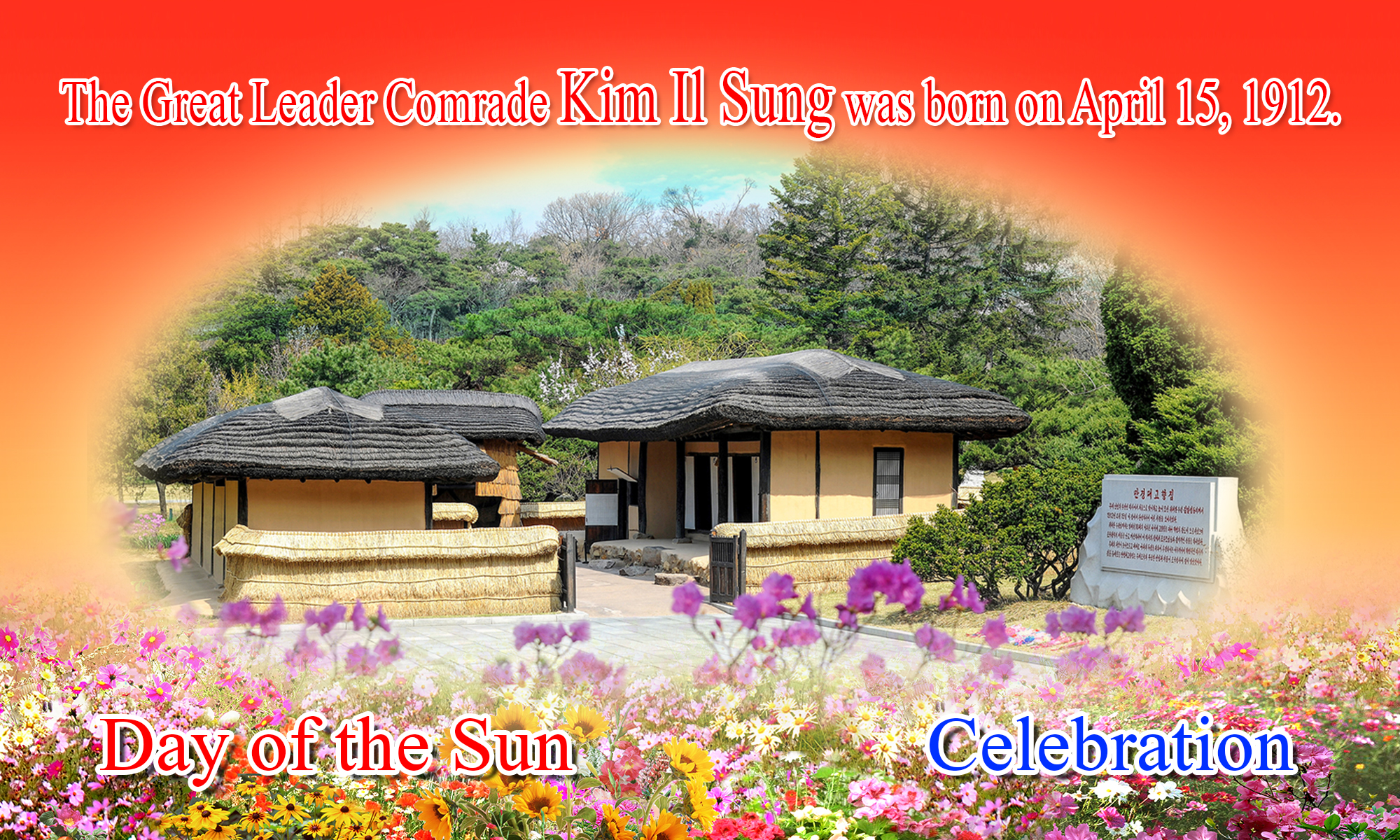 Introduction Pictures