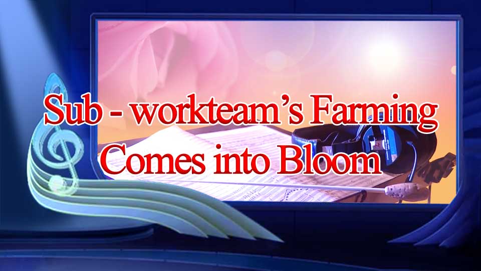 Sub-workteam’s Farming Comes into Bloom